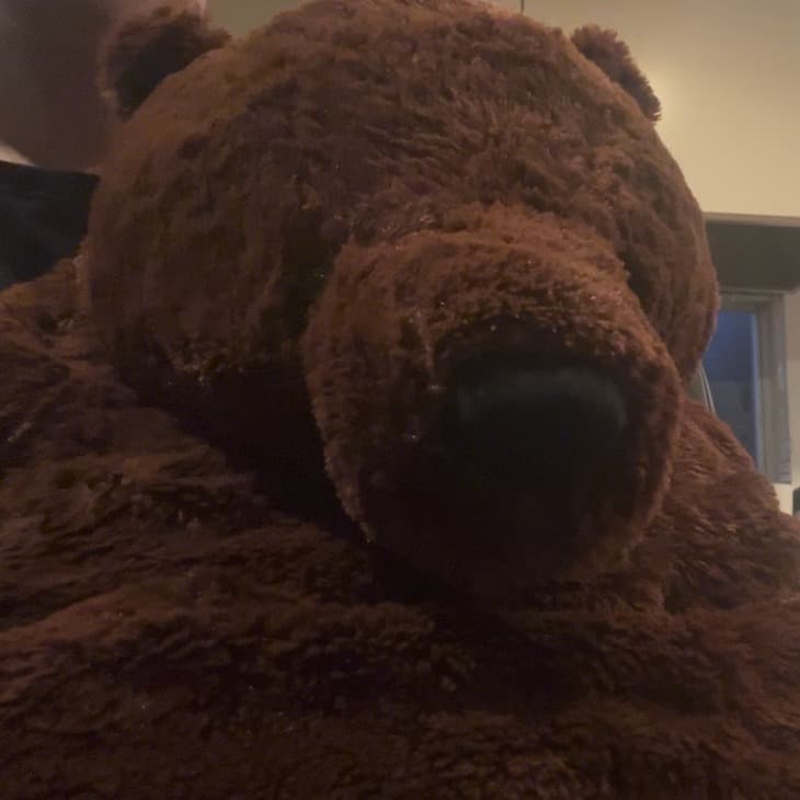 Kuma Taro Ph.D. portrait